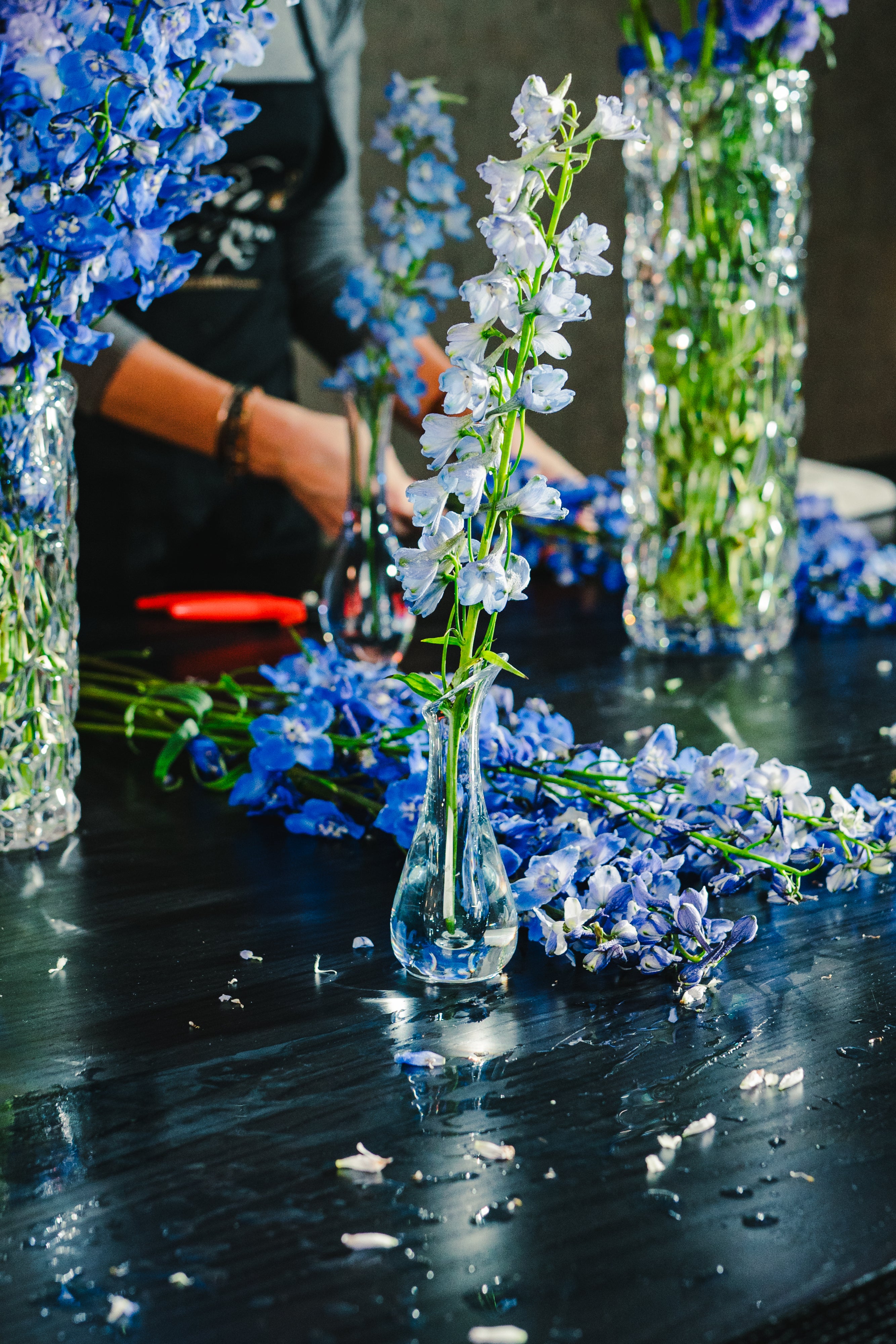 Oasis 6" Tulip Bud Vase