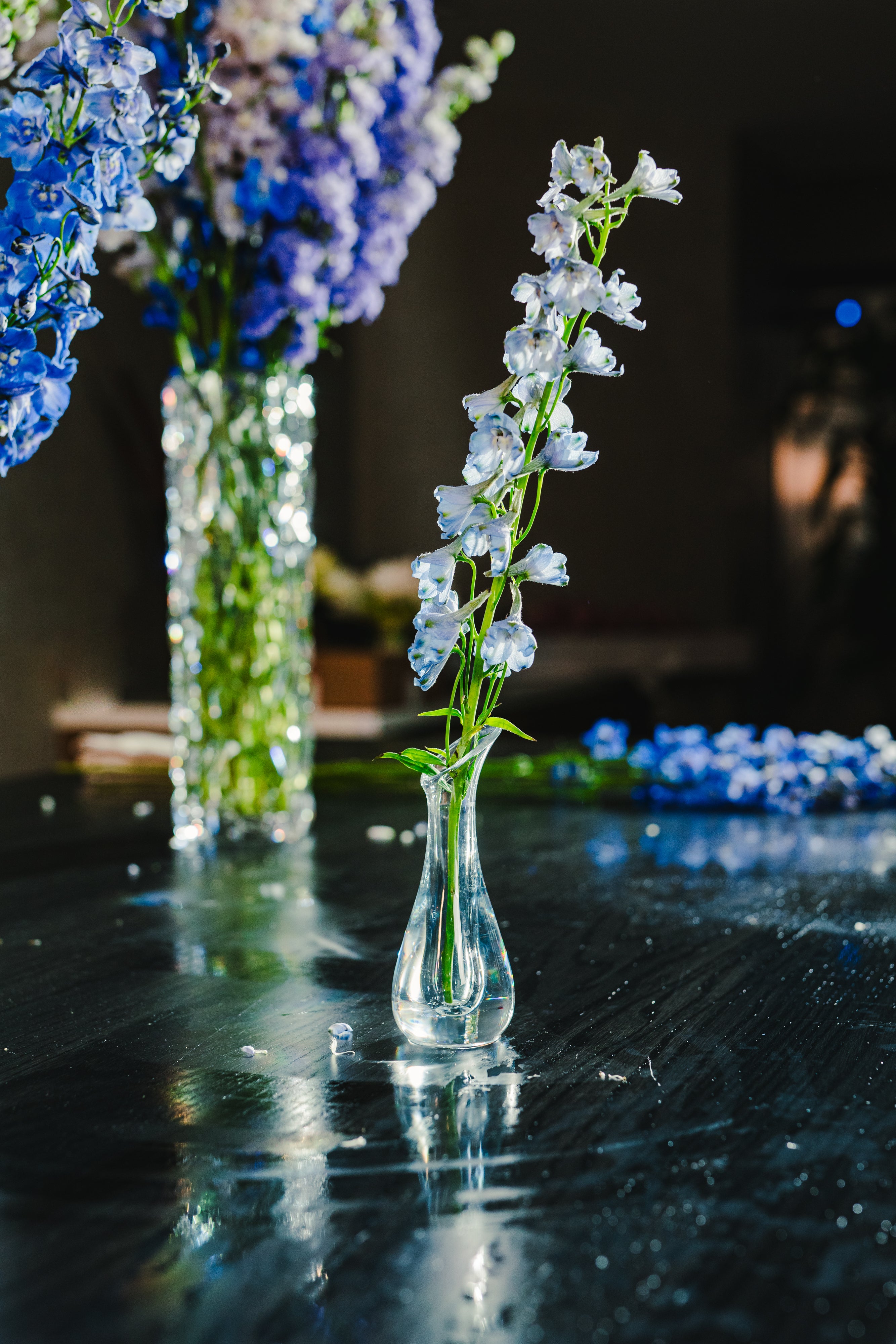 Oasis 6" Tulip Bud Vase