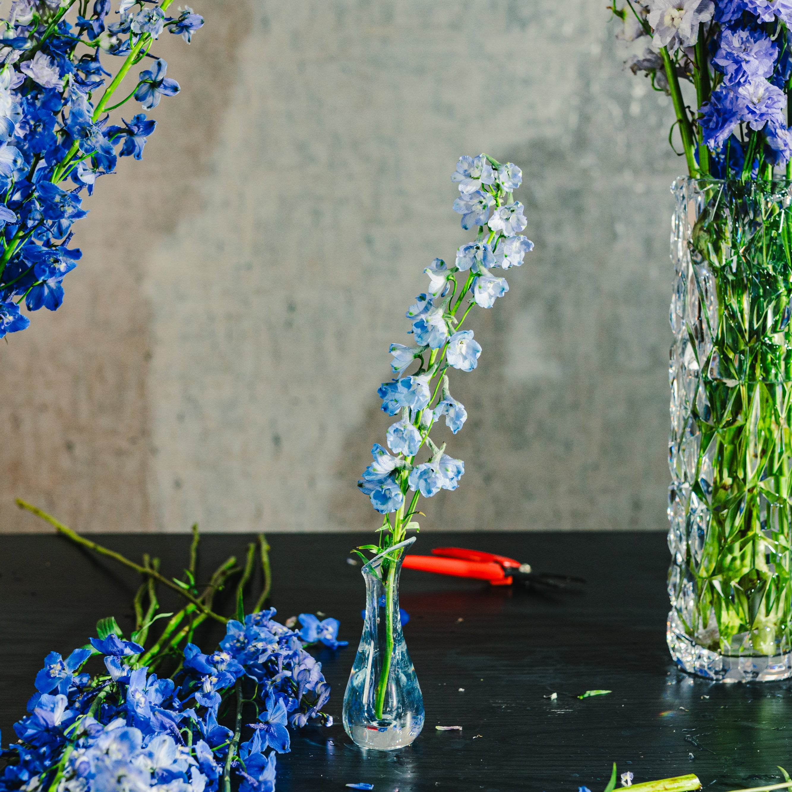 Oasis 6" Tulip Bud Vase